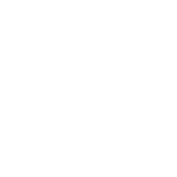 Respiratory services Icon